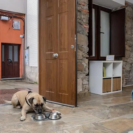 Loft Cimadevilla Vicaria